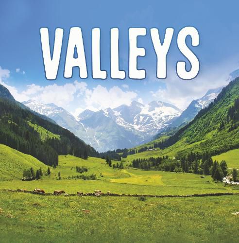 Cover image for Valleys