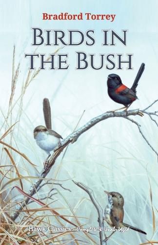 Cover image for Birds in the Bush