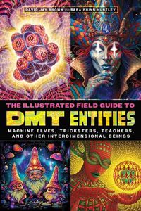 Cover image for The Illustrated Field Guide to DMT Entities