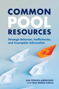 Cover image for Common Pool Resources: Strategic Behavior, Inefficiencies, and Incomplete Information