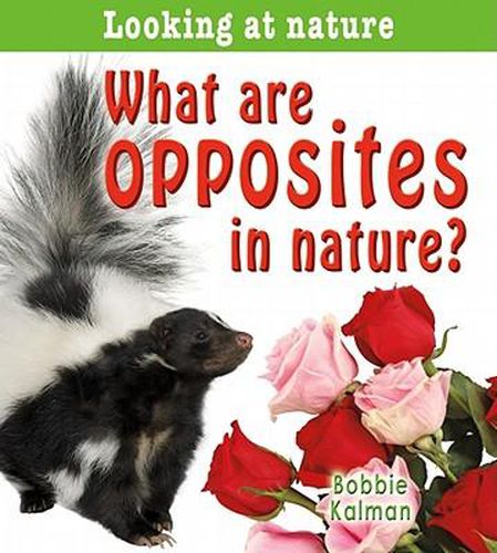 Cover image for What Are Opposites in Nature?