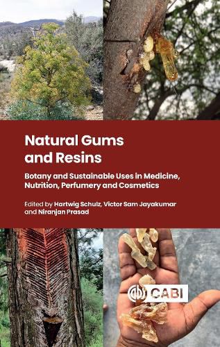 Cover image for Natural Gums and Resins