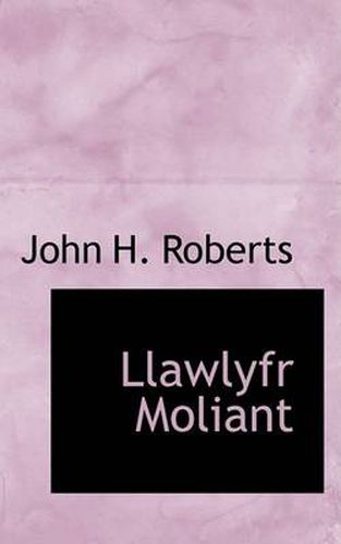 Cover image for Llawlyfr Moliant