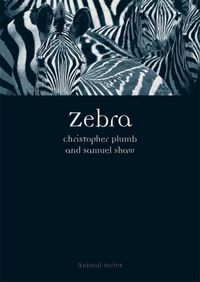 Cover image for Zebra