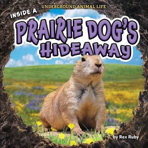 Cover image for Inside a Prairie Dog's Hideaway