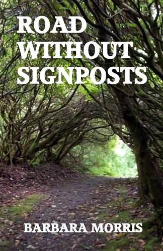 Cover image for Road Without Signposts