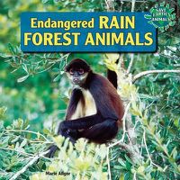 Cover image for Endangered Rain Forest Animals