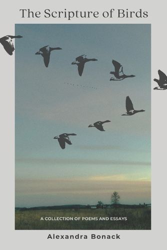 Cover image for The Scripture of Birds