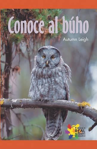 Cover image for Conoce Al Buho