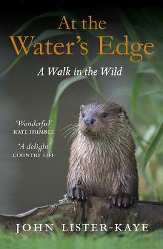 At the Water's Edge: A Walk in the Wild