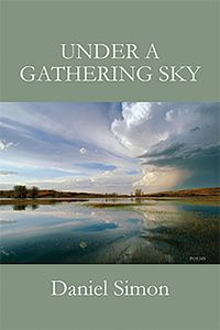 Cover image for Under a Gathering Sky