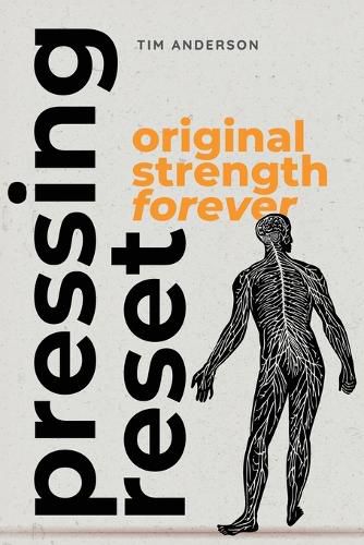 Cover image for Pressing RESET