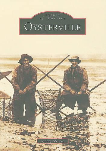 Cover image for Oysterville