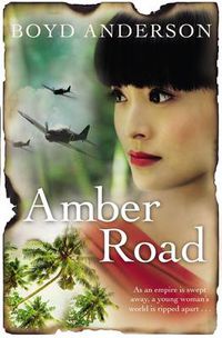 Cover image for Amber Road