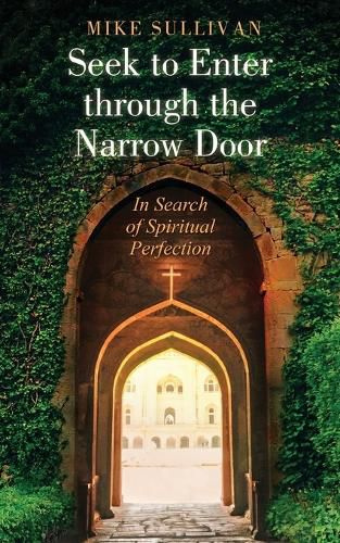 Cover image for Seek to Enter through the Narrow Door