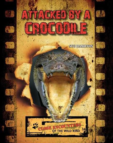 Cover image for Attacked by a Crocodile