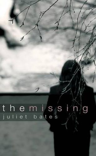 Cover image for The Missing