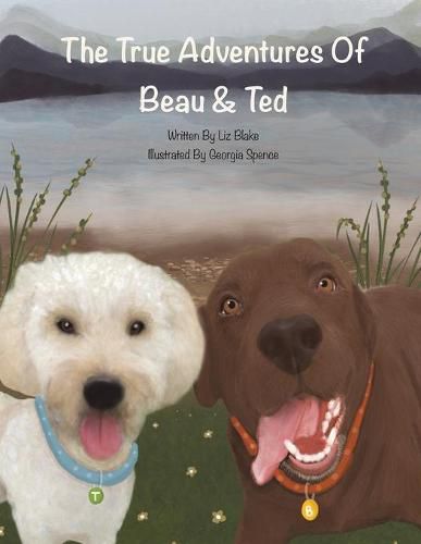 Cover image for The True Adventures of Beau and Ted