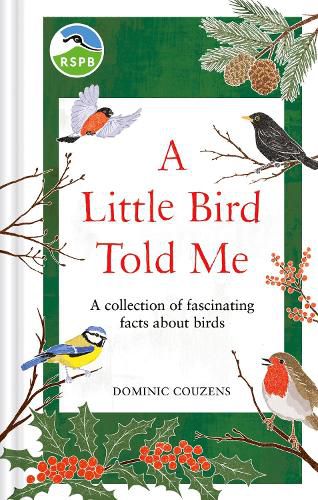 Cover image for RSPB A Little Bird Told Me