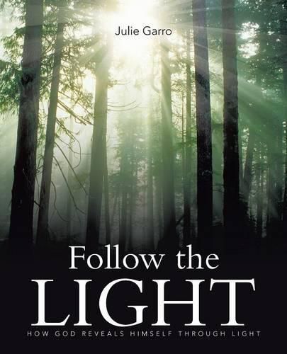 Cover image for Follow the Light: How God Reveals Himself through Light