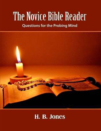 Cover image for The Novice Bible Reader