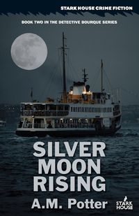 Cover image for Silver Moon Rising