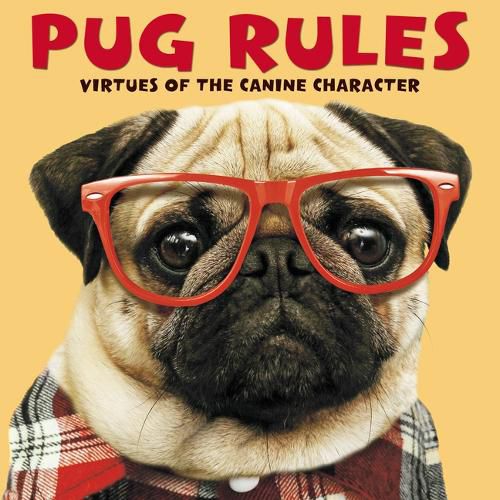 Cover image for Pug Rules