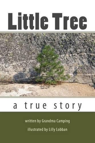 Cover image for Little Tree