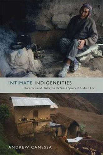 Cover image for Intimate Indigeneities: Race, Sex, and History in the Small Spaces of Andean Life