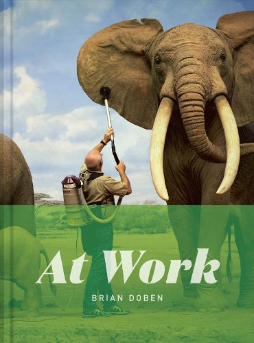 Cover image for At Work
