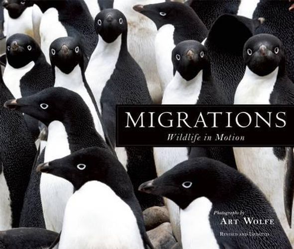 Migrations: Wildlife in Motion