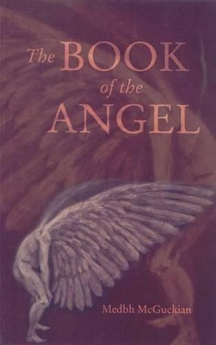Cover image for The Book of the Angel