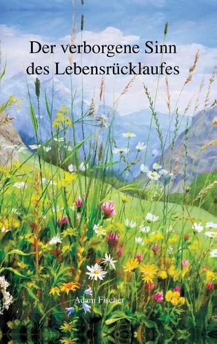 Cover image for Der verborgene Sinn des Lebensruecklaufes