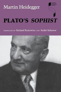 Cover image for Plato's Sophist
