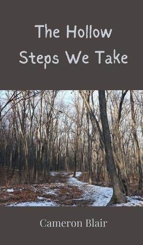 Cover image for The Hollow Steps We Take