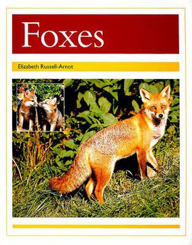 Cover image for Foxes: Individual Student Edition Gold (Levels 21-22)
