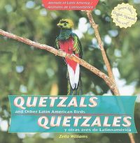 Cover image for Quetzals and Other Latin American Birds / Quetzales Y Otras Aves de Latinoamerica