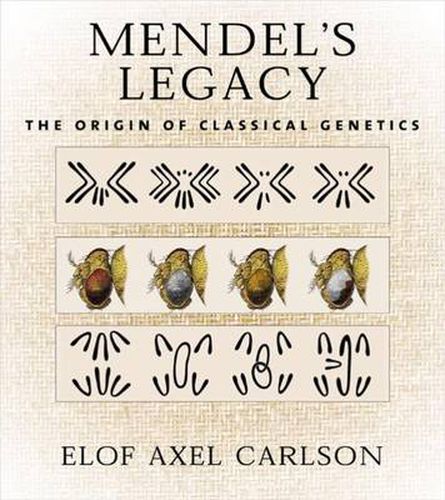 Cover image for Mendel's Legacy: The Origin of Classical Genetics
