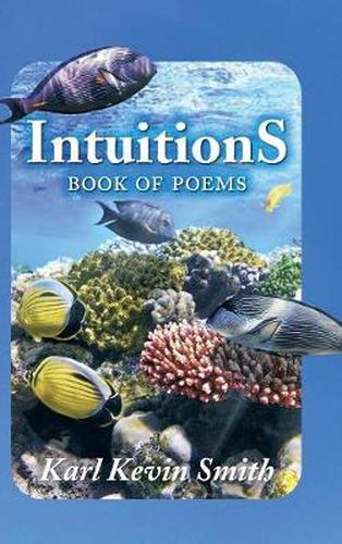 Cover image for Intuitions