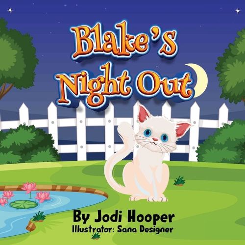 Cover image for Blake's Night Out