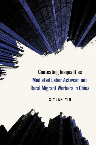 Cover image for Contesting Inequalities