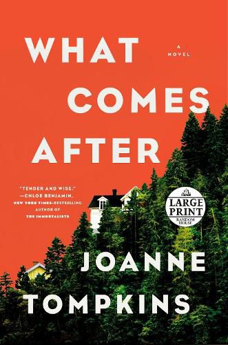 Cover image for What Comes After: A Novel