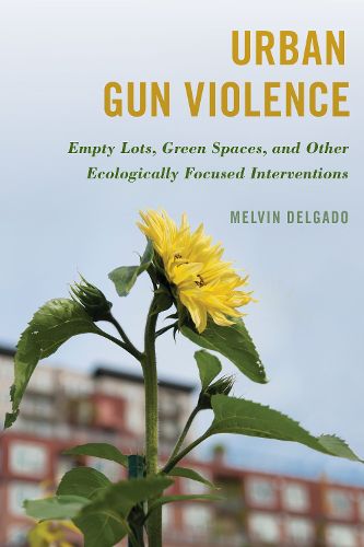 Cover image for Urban Gun Violence