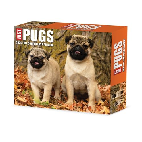 Cover image for Just Pugs 2026 Box Calendar