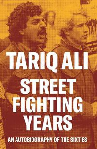 Cover image for Street-Fighting Years