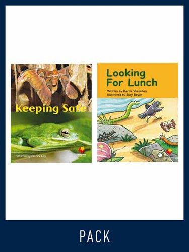 Cover image for Flying Start Guided Reading Pack Level 10, Pack 4: Paired student books (6x6) and lesson plan (1)