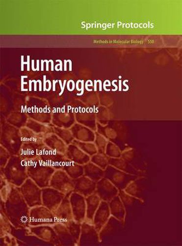 Cover image for Human Embryogenesis: Methods and Protocols