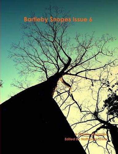 Cover image for Bartleby Snopes Issue 6