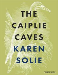 Cover image for The Caiplie Caves