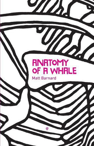 Cover image for Anatomy of a Whale